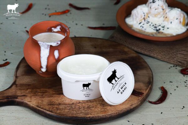 A2 Gir Gau Curd ( Available In Delhi NCR Only )